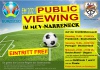 Public Viewing EM2021