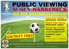 Public Viewing Fußball-Europameisterschaft